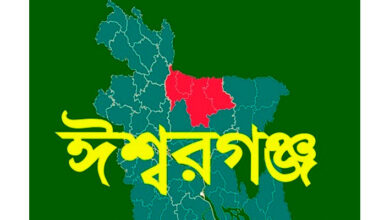*গলায় বাঁশ ঢুকে স্কুলছাত্রের মৃত্যু*